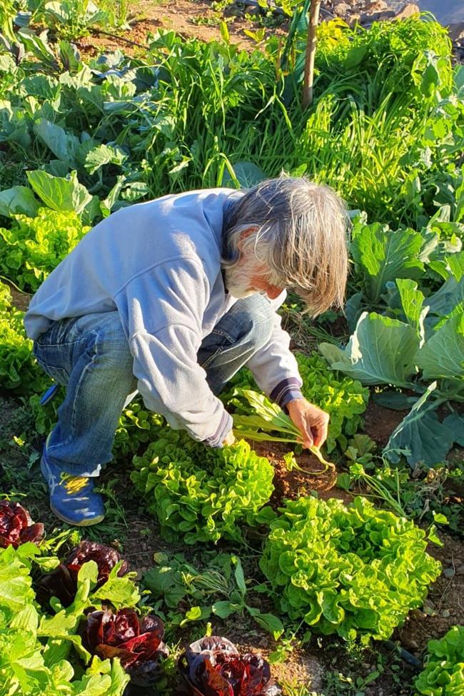 Sergio trabajando en la huerta