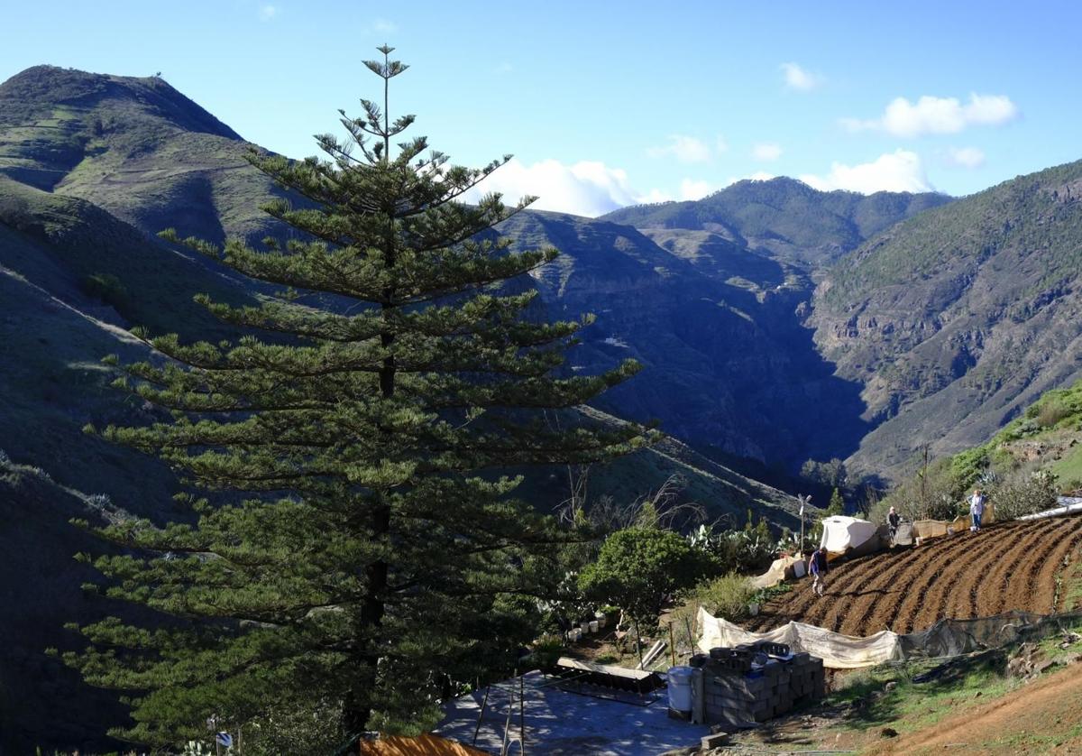 Cielos poco nubosos este domingo en Canarias