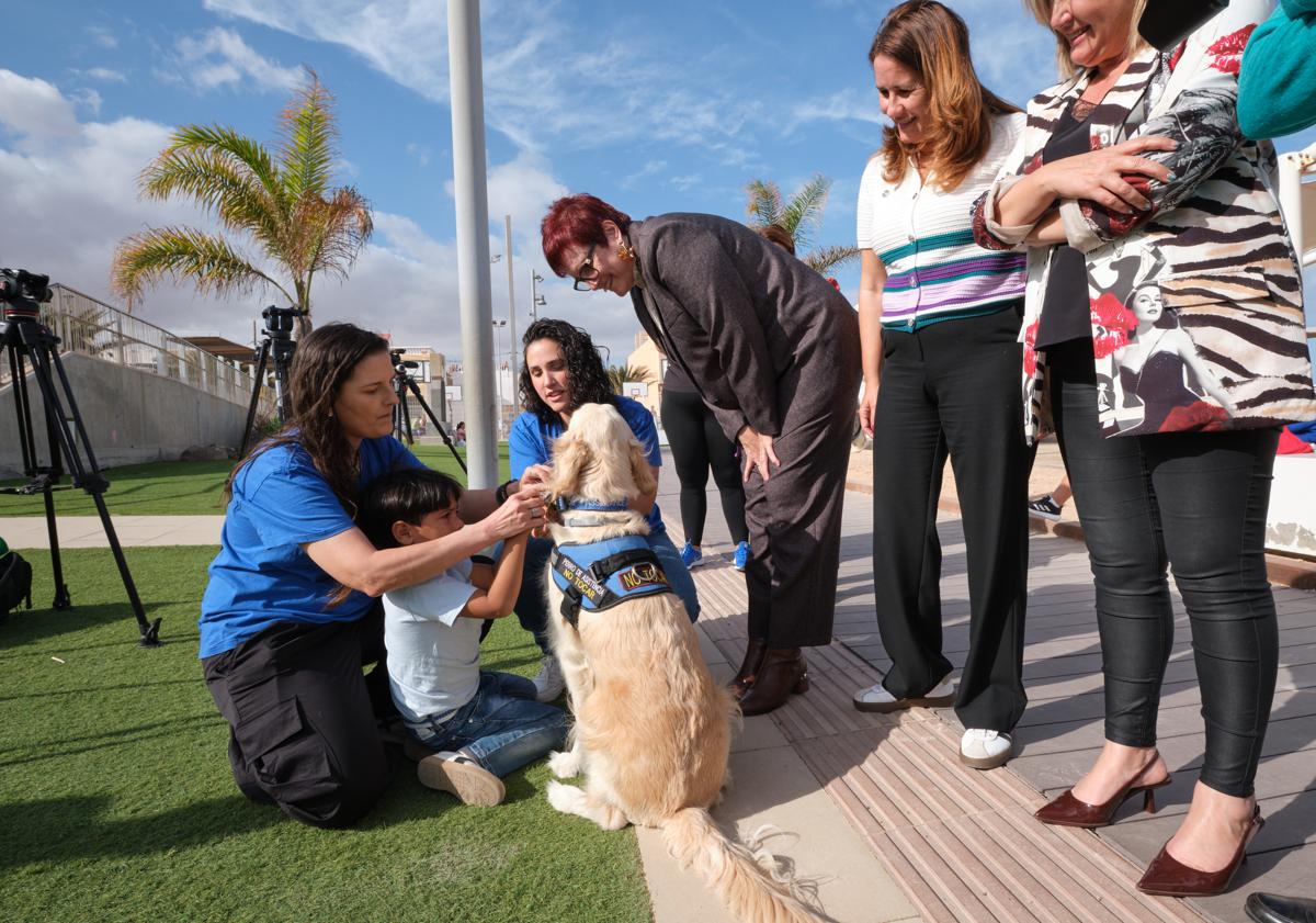 Imagen principal - &#039;Yogui&#039; es un hermano para Benjamín y el primer perro de asistencia acreditado de Canarias