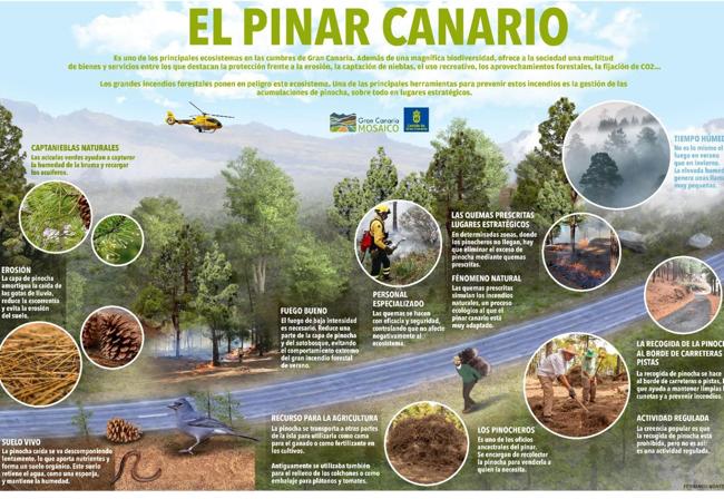 Infografía de Montecruz para la Consejería de Medio Ambiente del Cabildo.