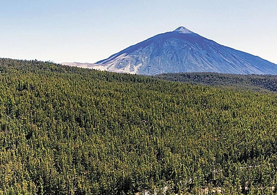 El viaje del agua desde la cumbre al manantial