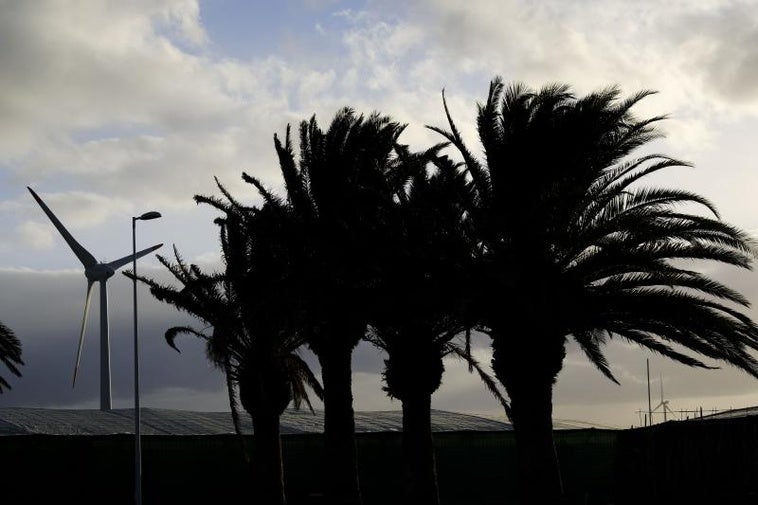 La situación de prealerta comienza este sábado a partir de las 18.00 horas debido a la intensificación del alisio.