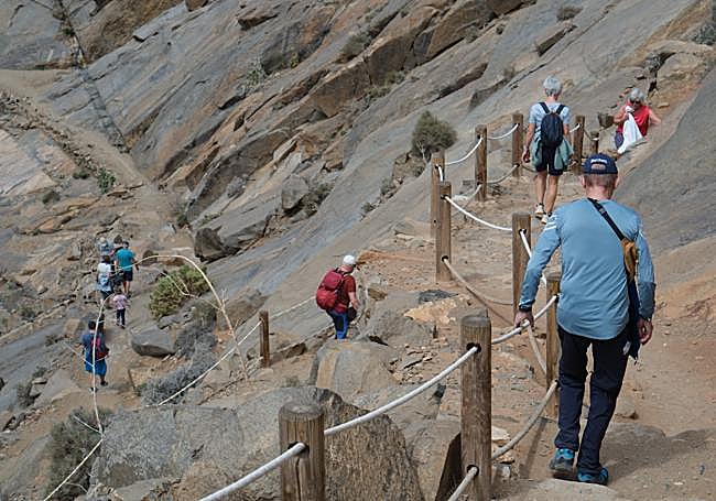 Daily visitors on the Peñitas trail