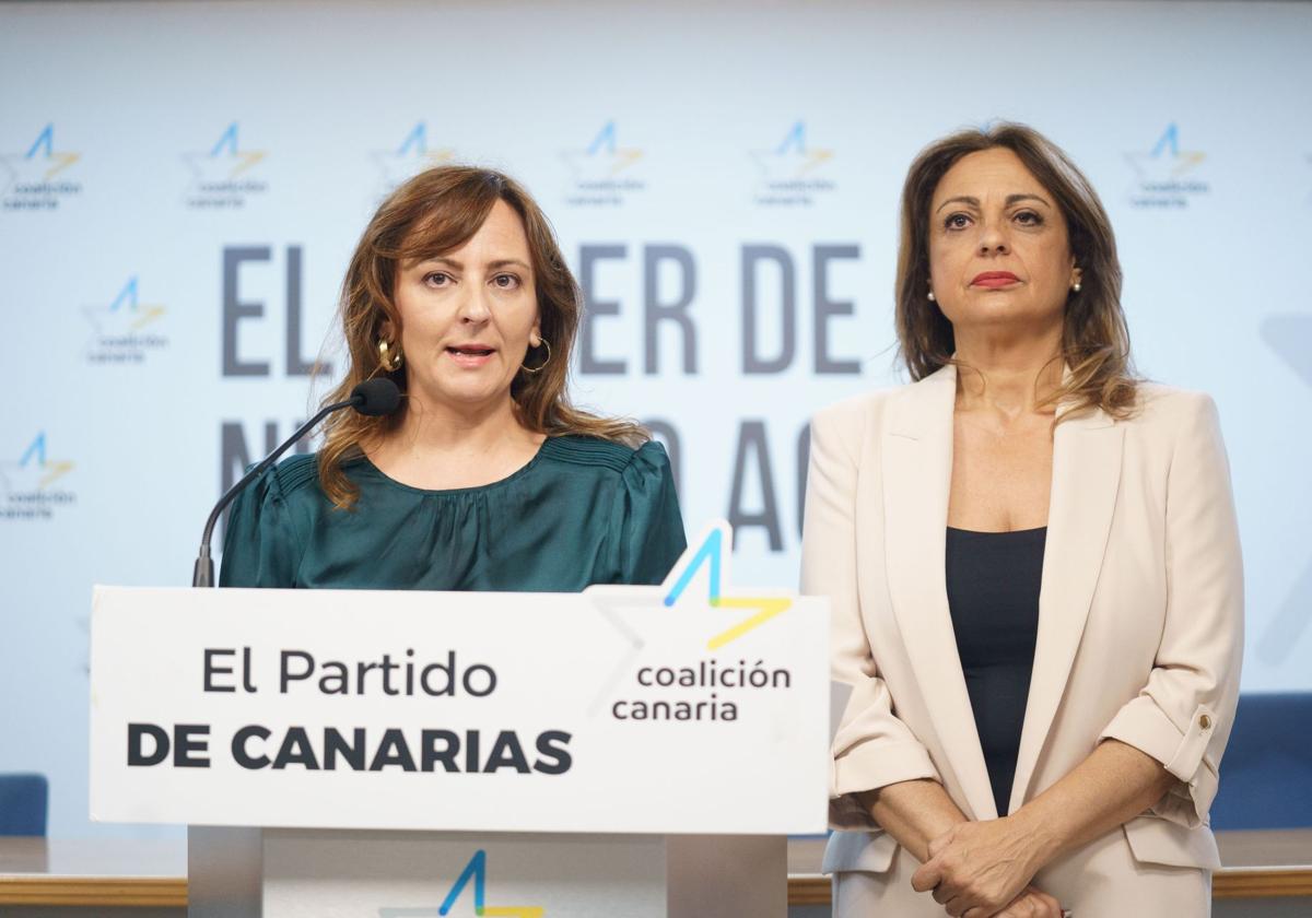 Canarias pide al Gobierno que financie la Policía Autonómica y que ejerza de judicial