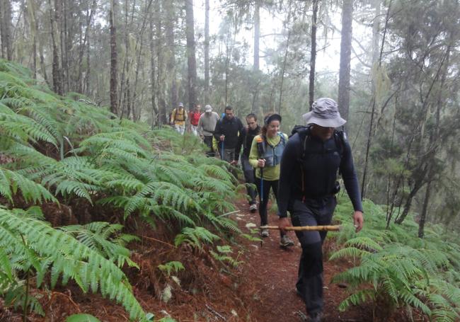Senderistas disfrutan de las rutas por Canarias.