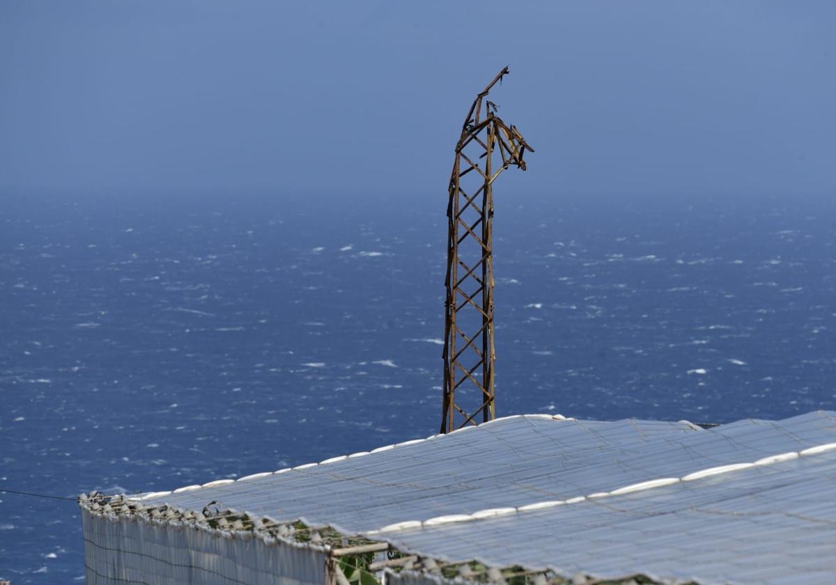 Las rachas de viento causan estragos en el norte de Gran Canaria