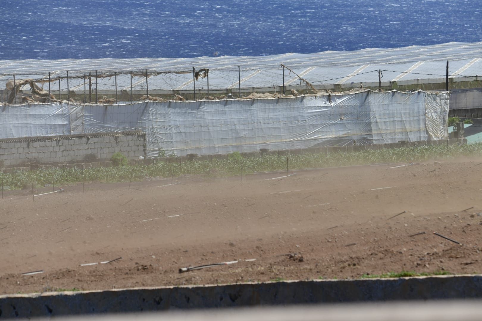 Las rachas de viento causan estragos en el norte de Gran Canaria