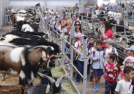 El acto inaugural pasa a la mañana del viernes en el recinto ferial de Pozo Negro, coincidiendo con la tradicional visita de los escolares.