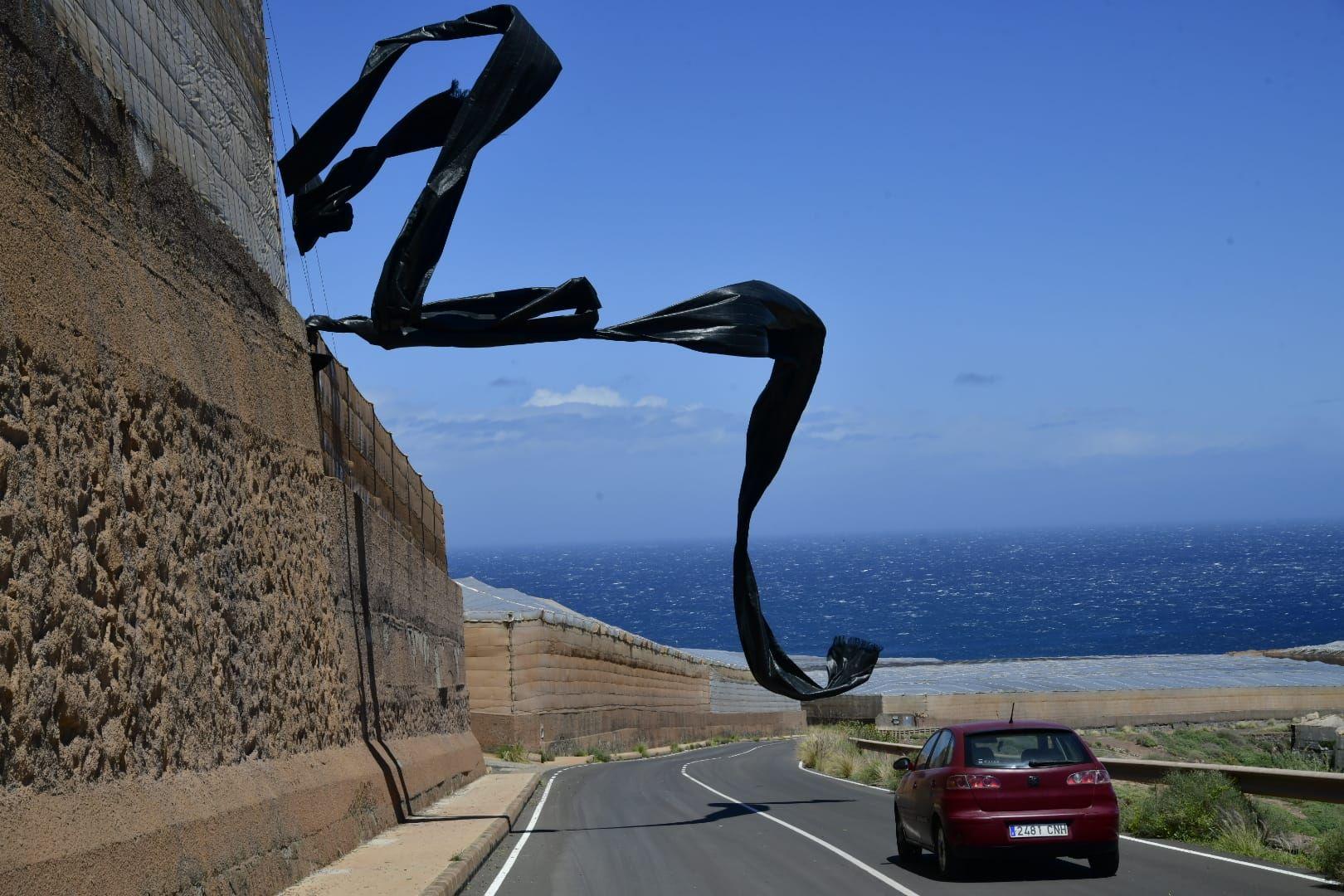 Las rachas de viento causan estragos en el norte de Gran Canaria