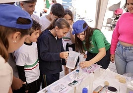 El alumnado de diversos centros de Las Palmas de Gran Canaria se convierten en científicos en el CEIP García Lorca.