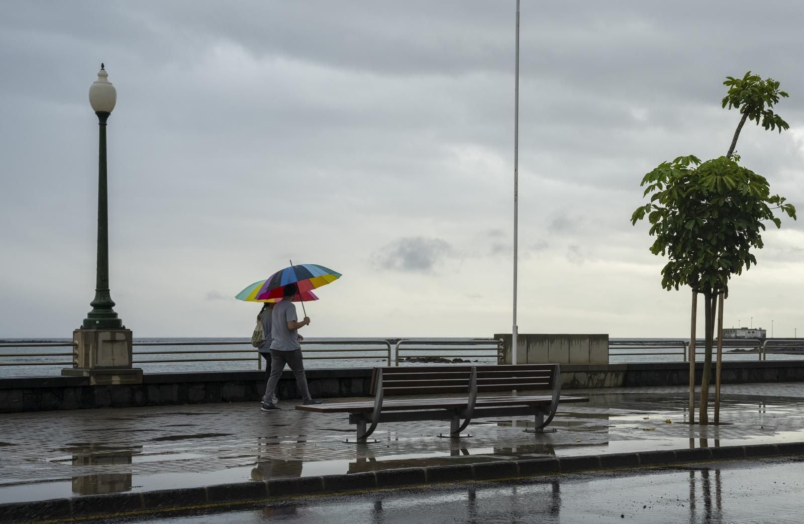 Entre paraguas y viento: La borrasca Olivier visita Canarias
