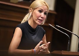 La diputada del grupo Popular, Rebeca Paniagua.