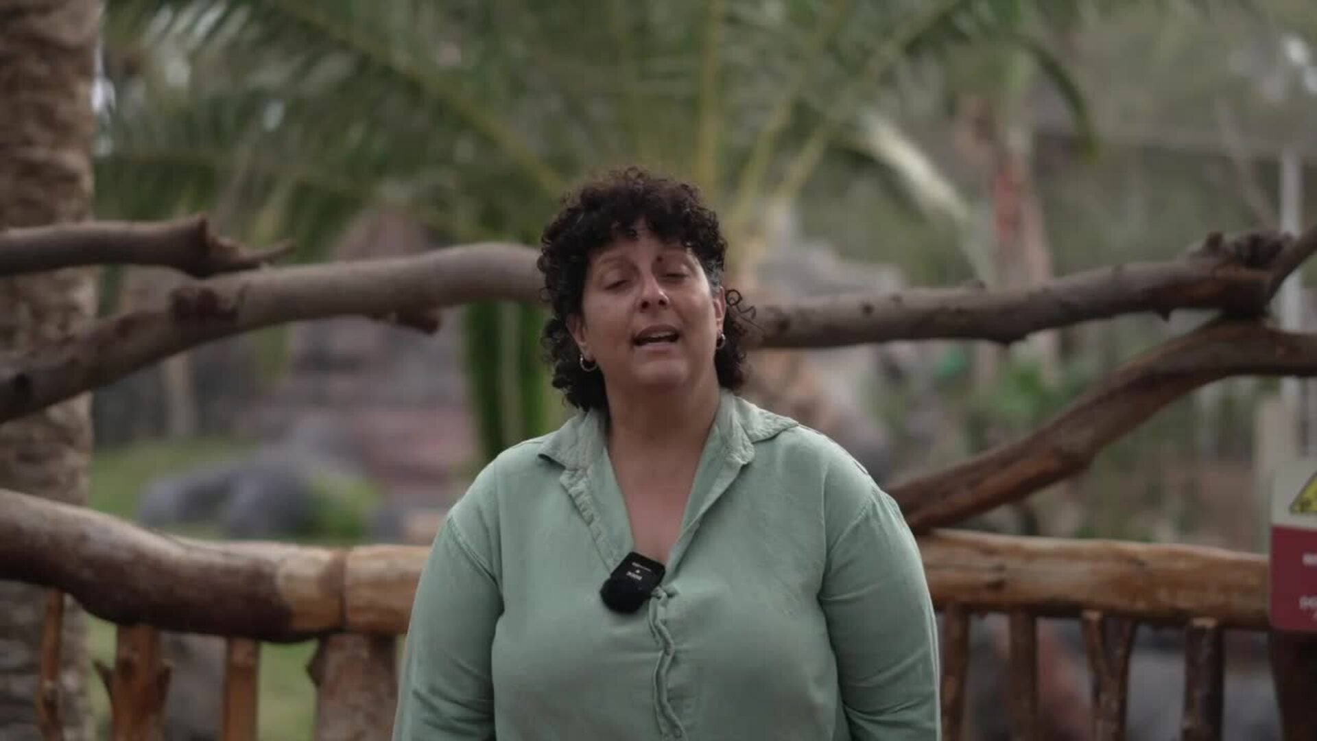 Xancho, Adasa y Brisa, los nuevos canguros rojos, se pueden visitar ya en el Oasis Wildlife Fuerteventura