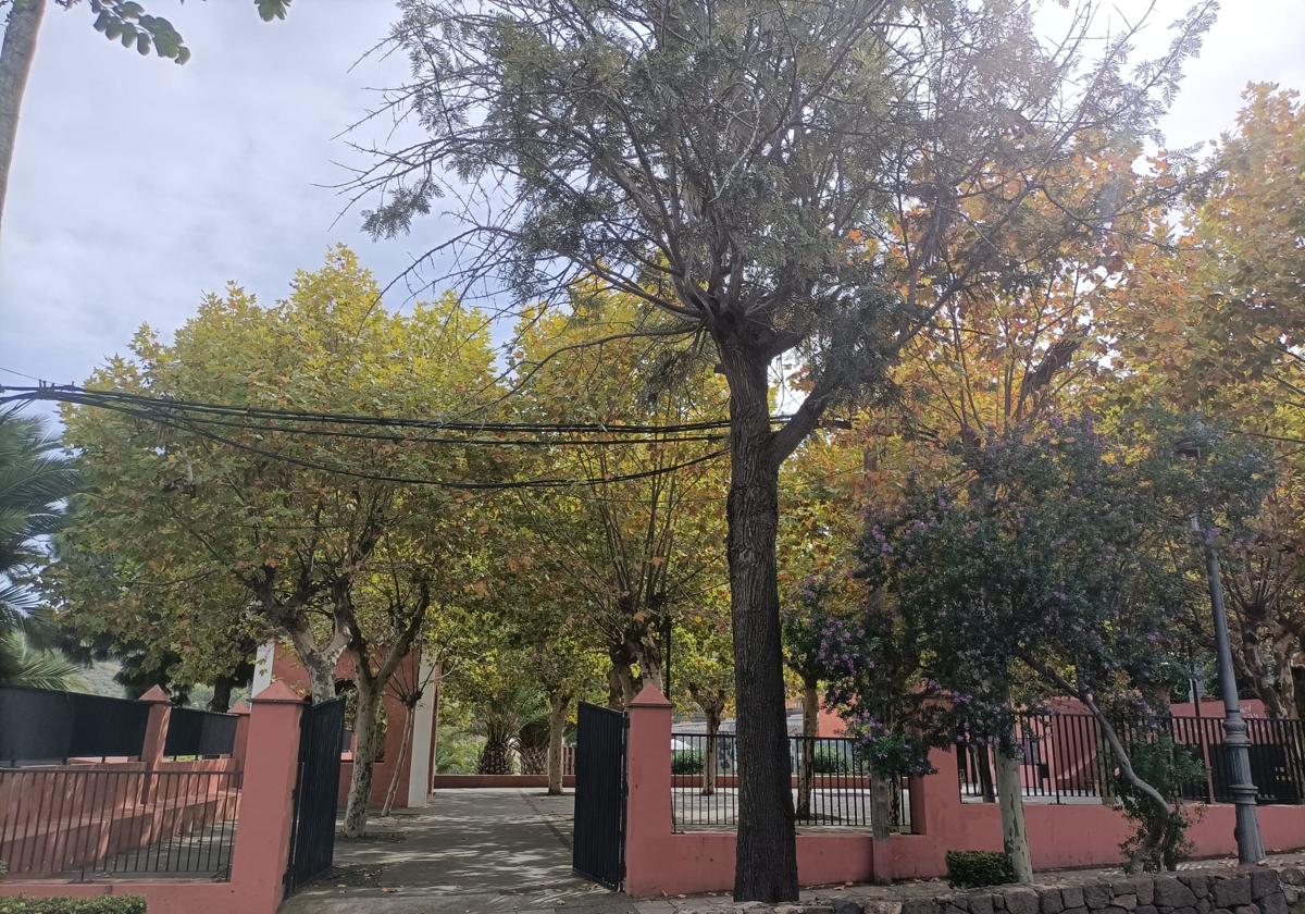 Santa Brígida celebra el Día del Libro con literatura, música y espectáculos en el Parque Municipal
