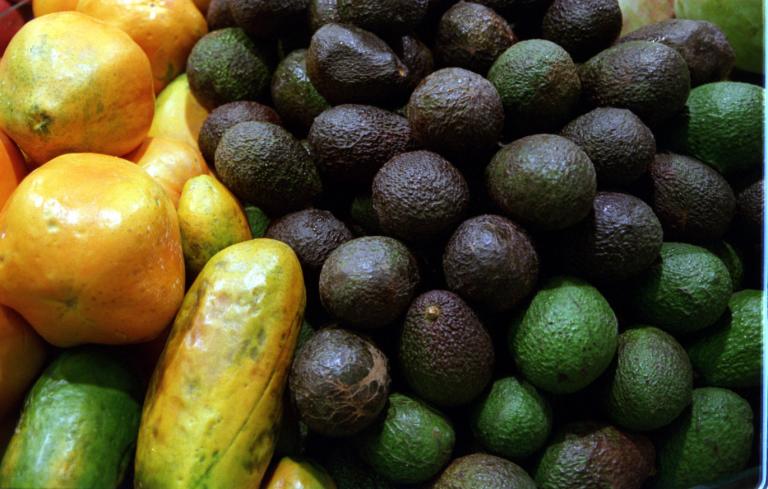 Imagen de archivo de varios aguacates (d) y papayas (i).