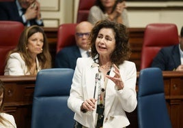 Matilde Asián, compareciendo en el Parlamento de Canarias en una imagen de archivo.