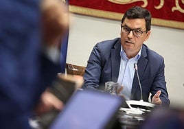 Rodríguez detalló en comisión parlamentaria las actuaciones que la Consejería tiene en marcha en La Palma.