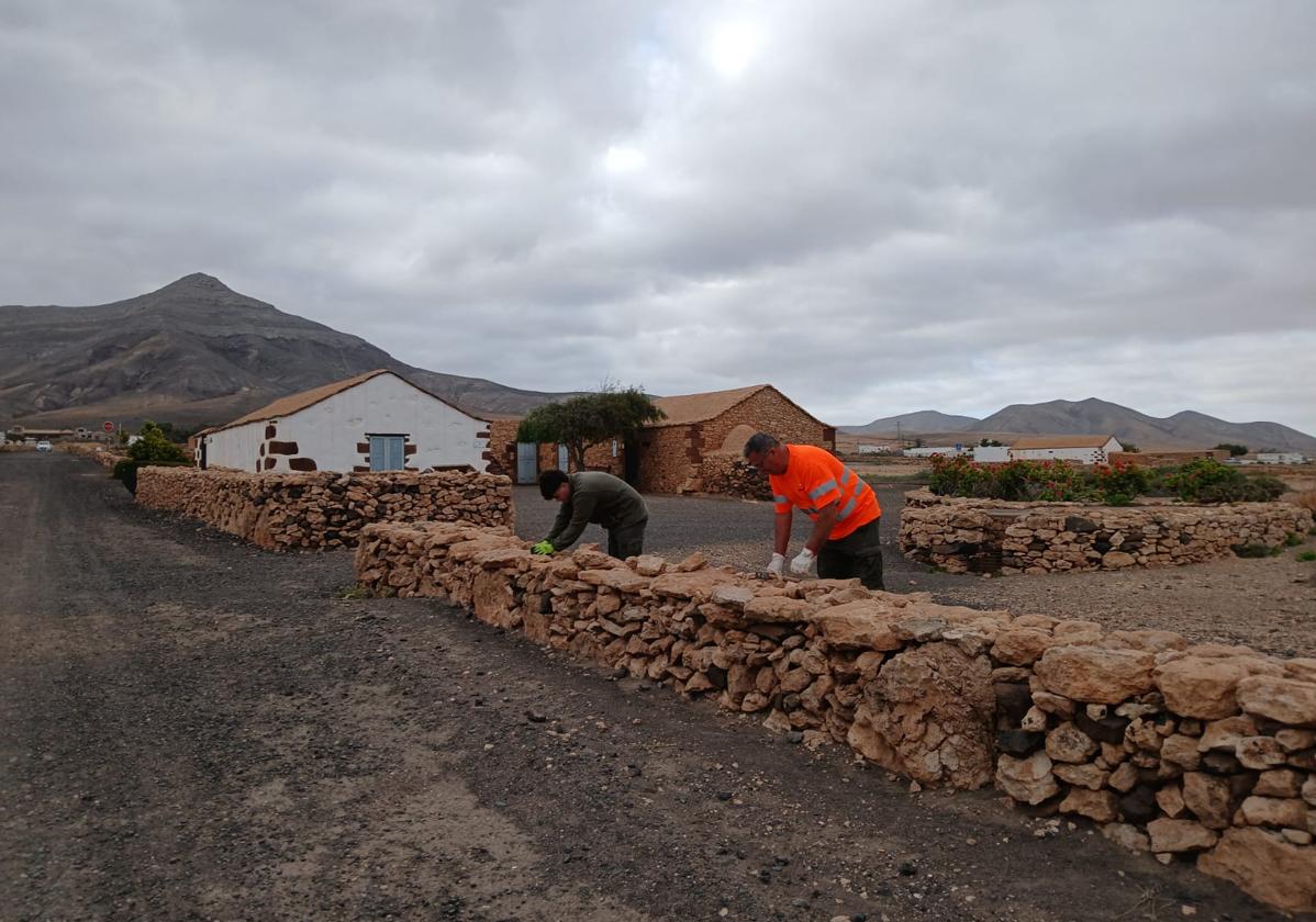 El Cabildo restaura 3.600 metros de muros de piedra en La Alcogida