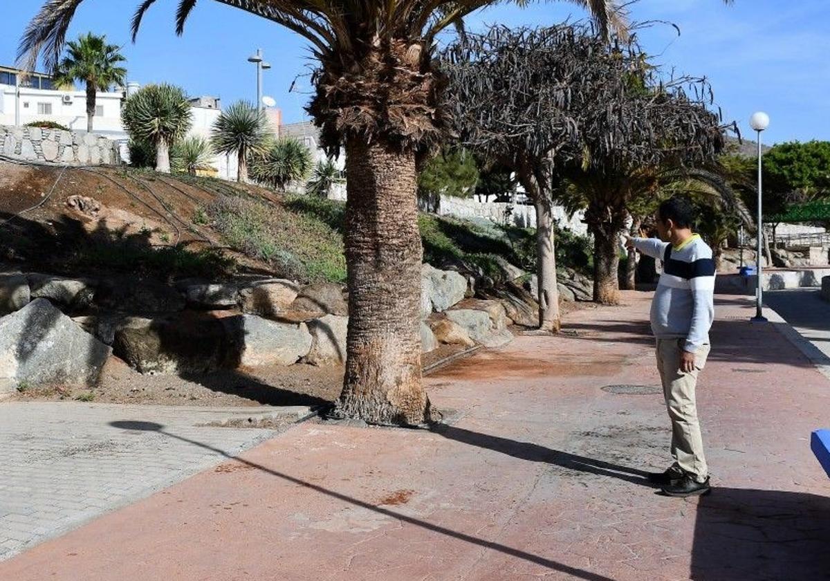 El edil de Obras, Ernesto Hernández, señala el lugar donde irá ubicado el velatorio.