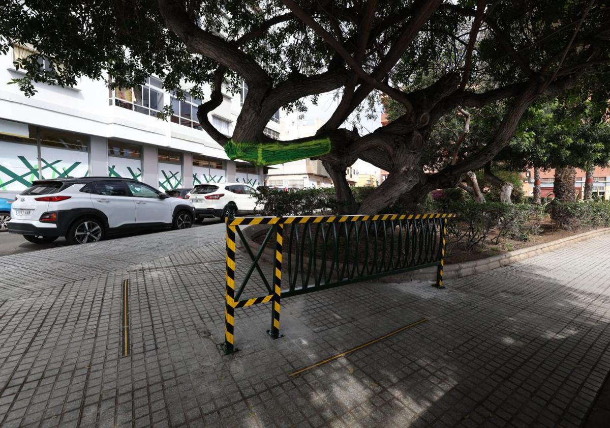 Imagen principal - Valla junto al árbol, punto contra el que se golpeó la vecina y una imagen tras su caída.
