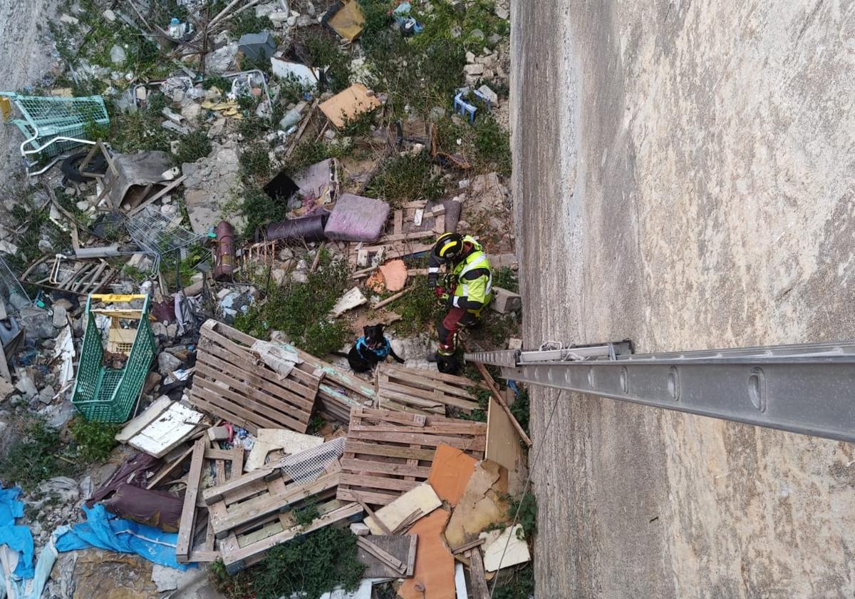 Rescatado un perro que había caído a un estanque abandonado en Las Palmas de Gran Canaria