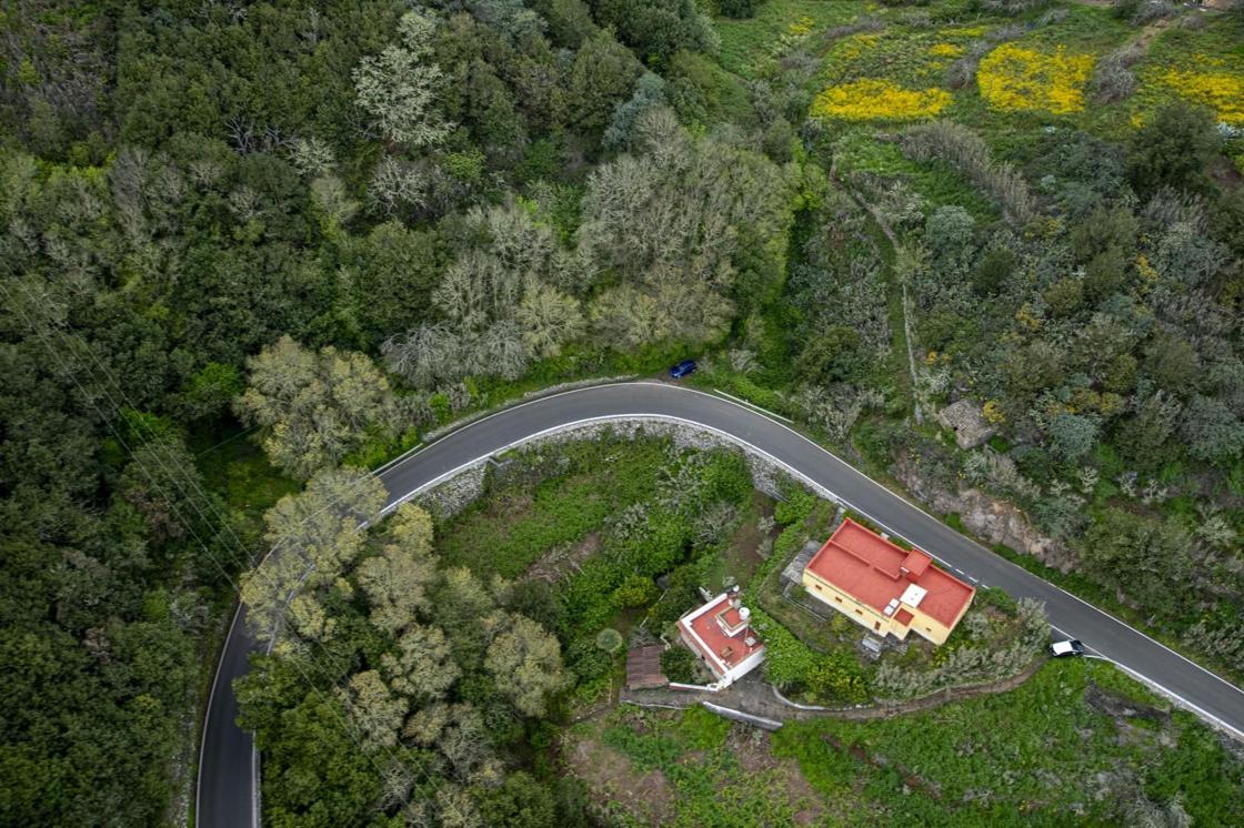La primavera reverdece Gran Canaria