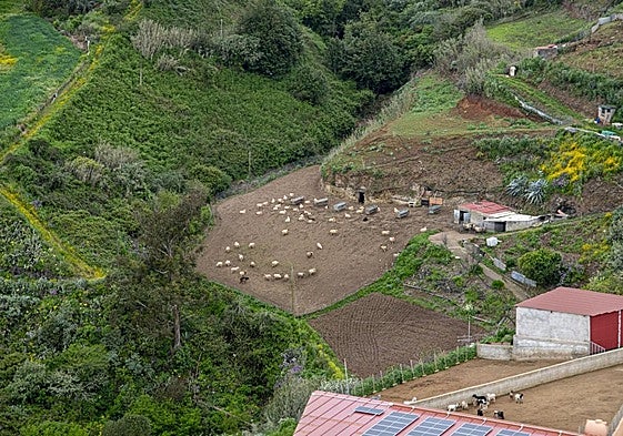 Imágenes del centro de la isla, a vista de helicóptero