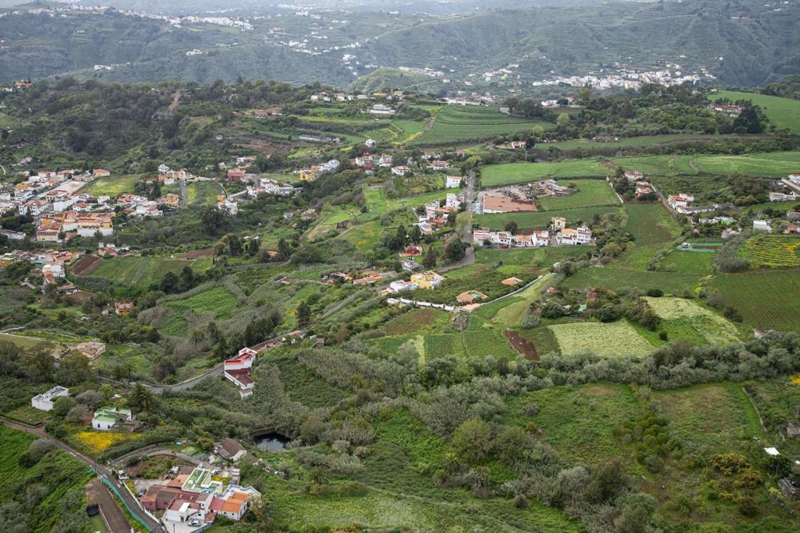 La primavera reverdece Gran Canaria