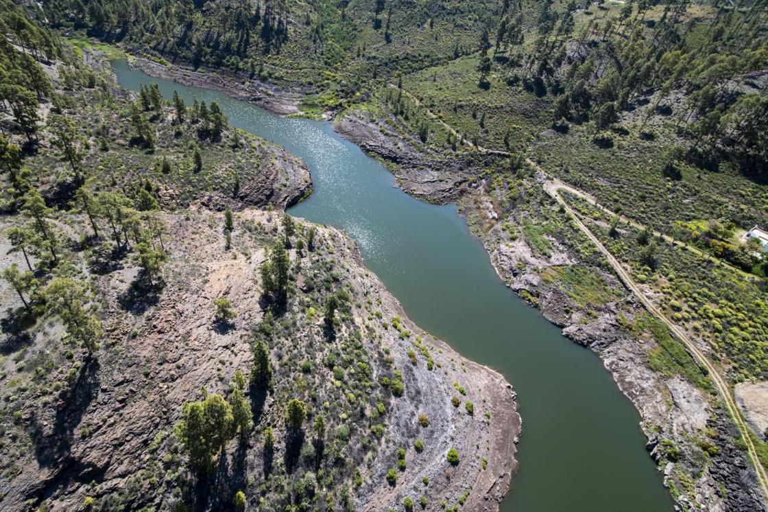 La primavera reverdece Gran Canaria
