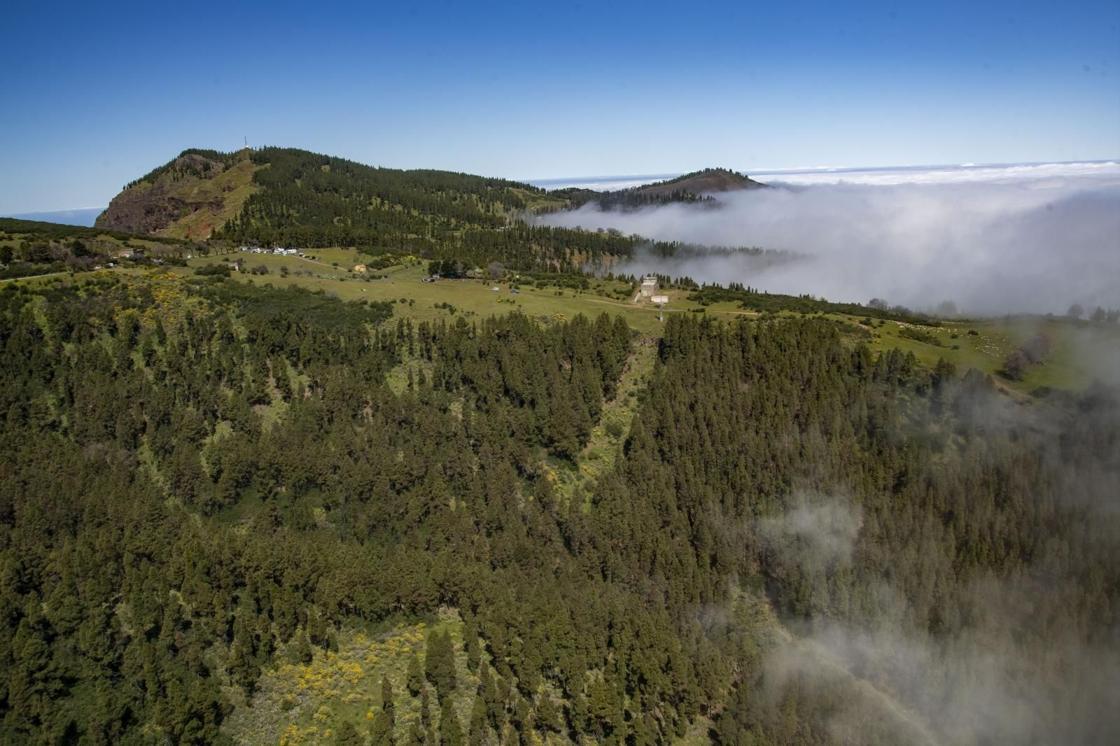 La primavera reverdece Gran Canaria