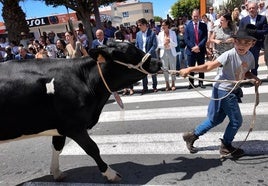 Feria de ganado celebrada este miércoles en el Cruce de Arinaga.