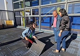 Muestra de suelo a quitar.