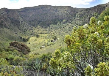 ¿Lanzarote o Gran Canaria? La ciencia revela la isla más activa volcánicamente