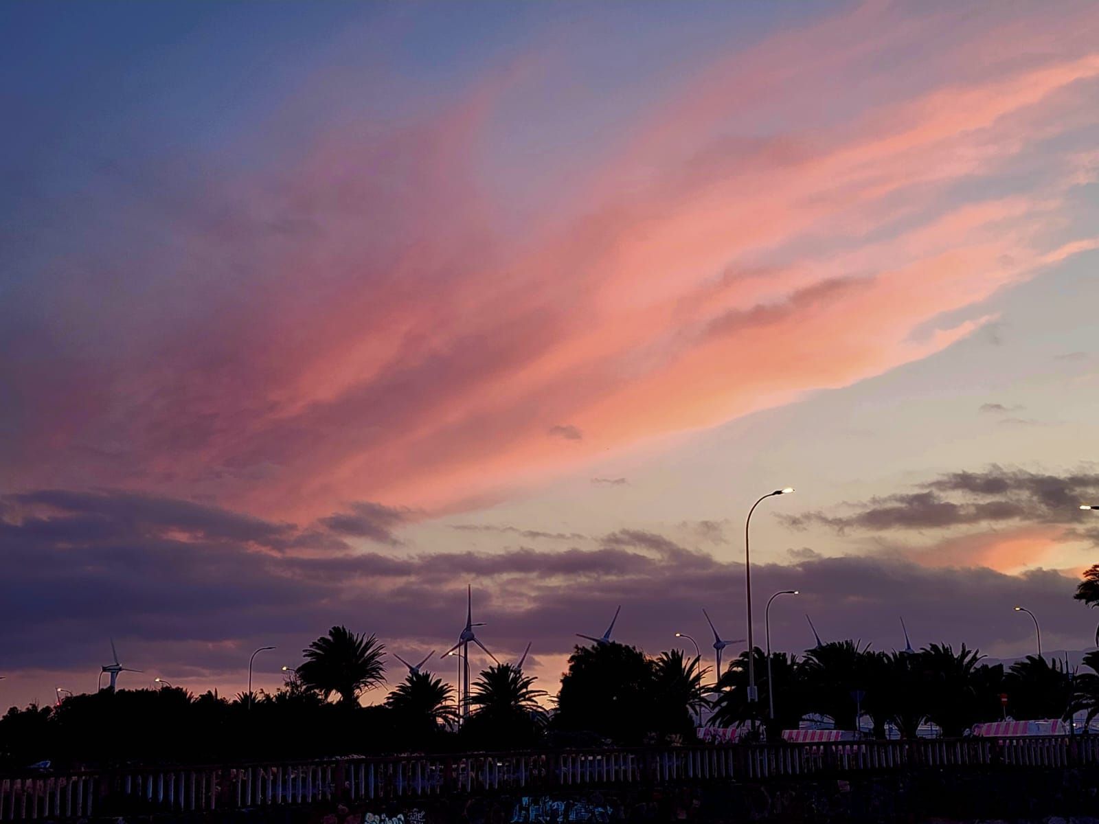 Cielos despejados y temperaturas suaves para cerrar la semana