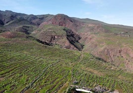Una finca de 290.714 metros cuadrados en Agüimes, al banco de tierras