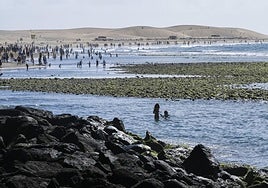 La playa de Maspalomas, en una imagen de archivo.