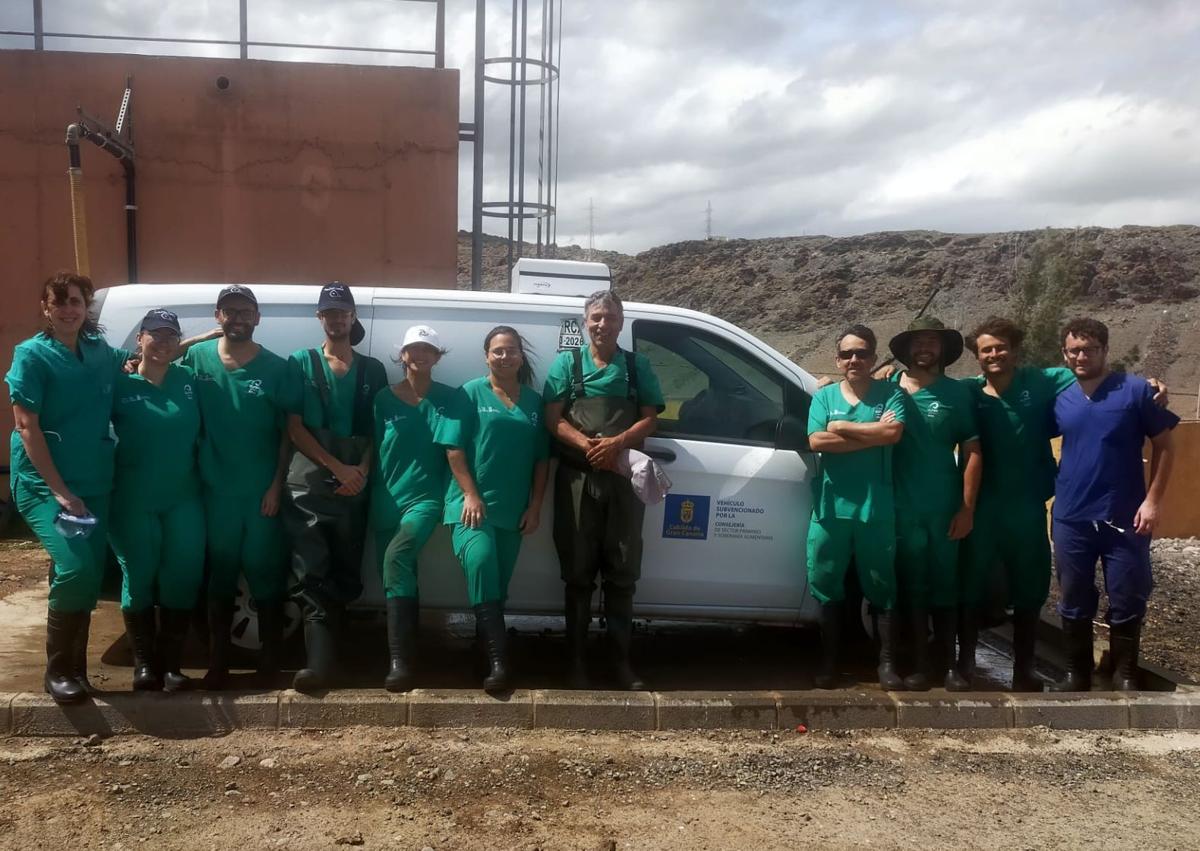 Imagen secundaria 1 - Varios momentos de la necropsia. 
