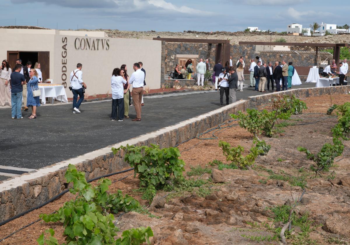Imagen de Galeria 