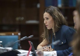 La consejera de Turismo y Empleo del Gobierno de Canarias, Jessica de León, en una comisión parlamentaria.