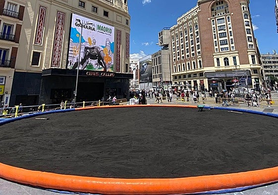 Canarias se prepara para asaltar Madrid con una luchada y una romería este sábado