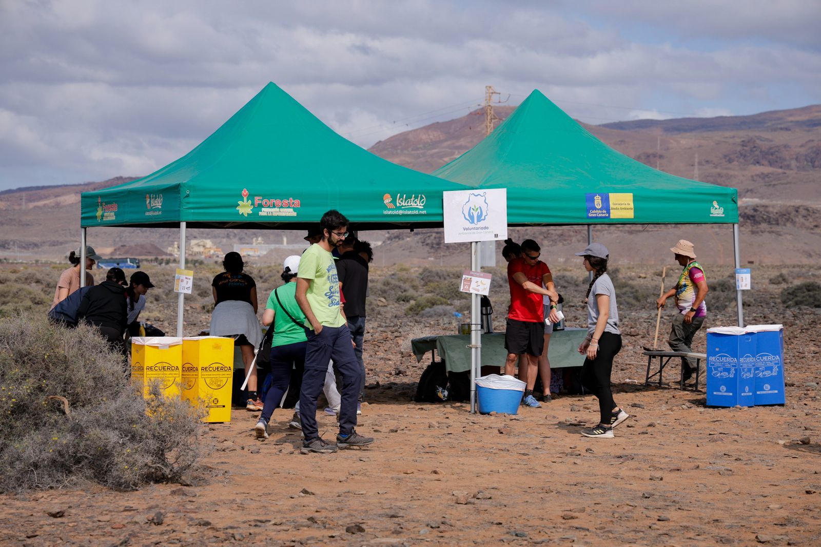Jornada verde: imágenes de la reforestación con voluntarios en Gran Canaria