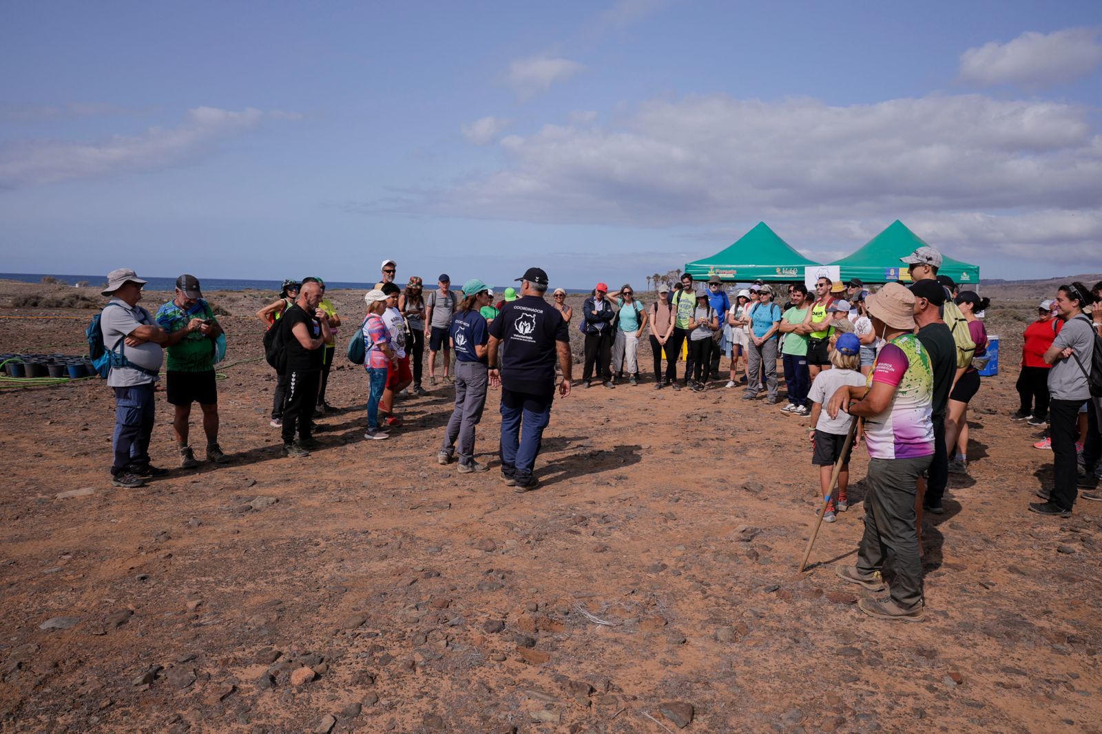 Jornada verde: imágenes de la reforestación con voluntarios en Gran Canaria