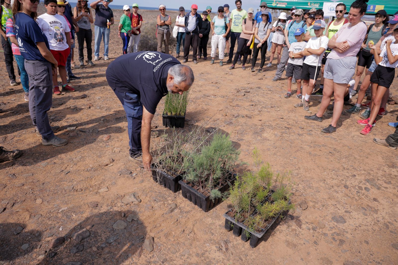Jornada verde: imágenes de la reforestación con voluntarios en Gran Canaria