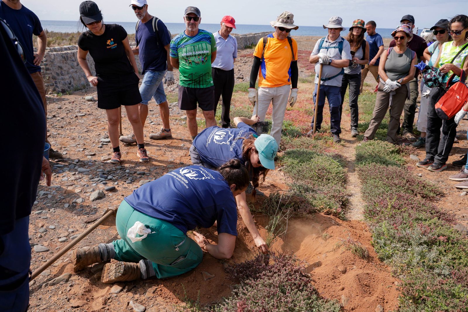 Jornada verde: imágenes de la reforestación con voluntarios en Gran Canaria