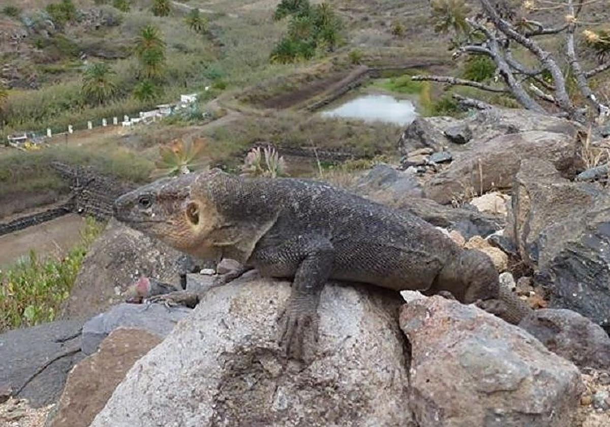 La ética más allá del 'me gusta'