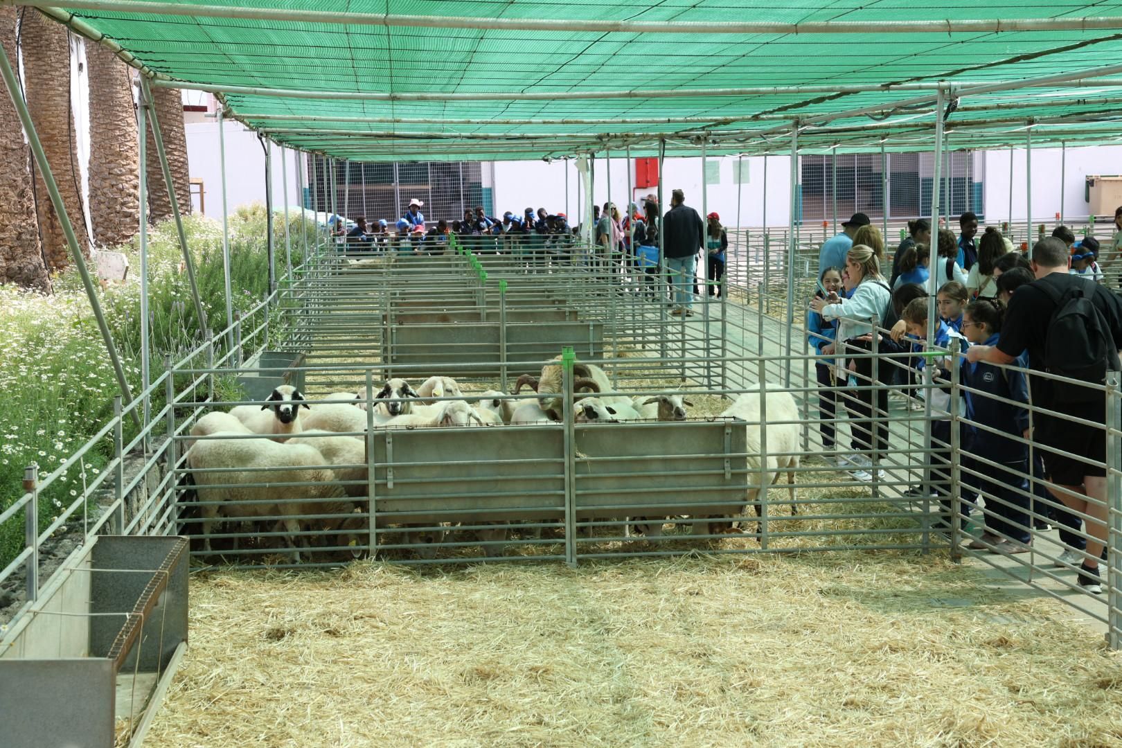 El sector primario se abre a los niños