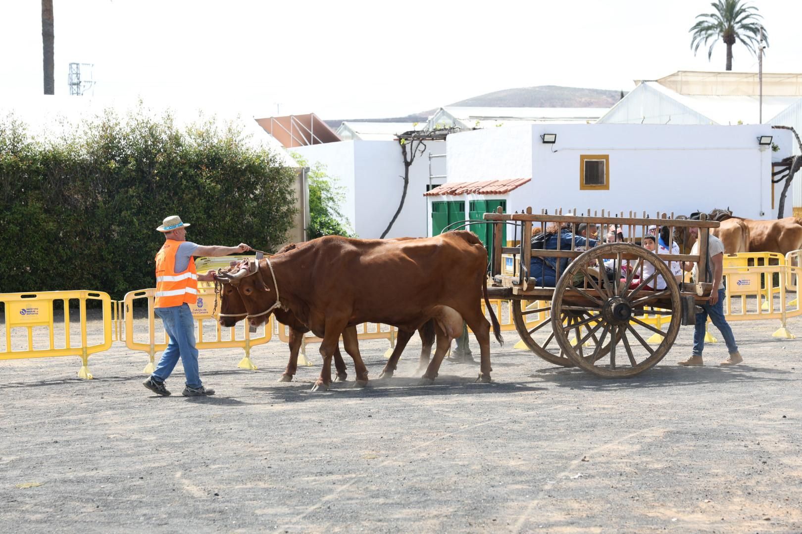 El sector primario se abre a los niños