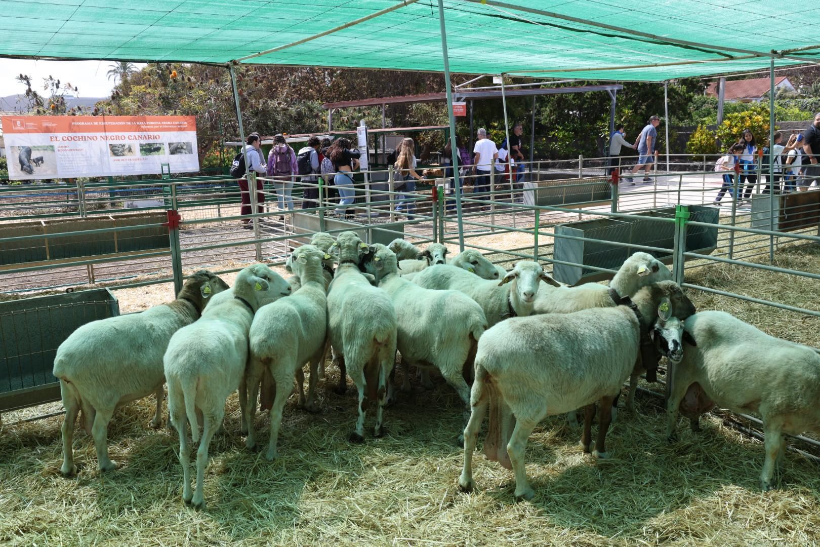 El sector primario se abre a los niños