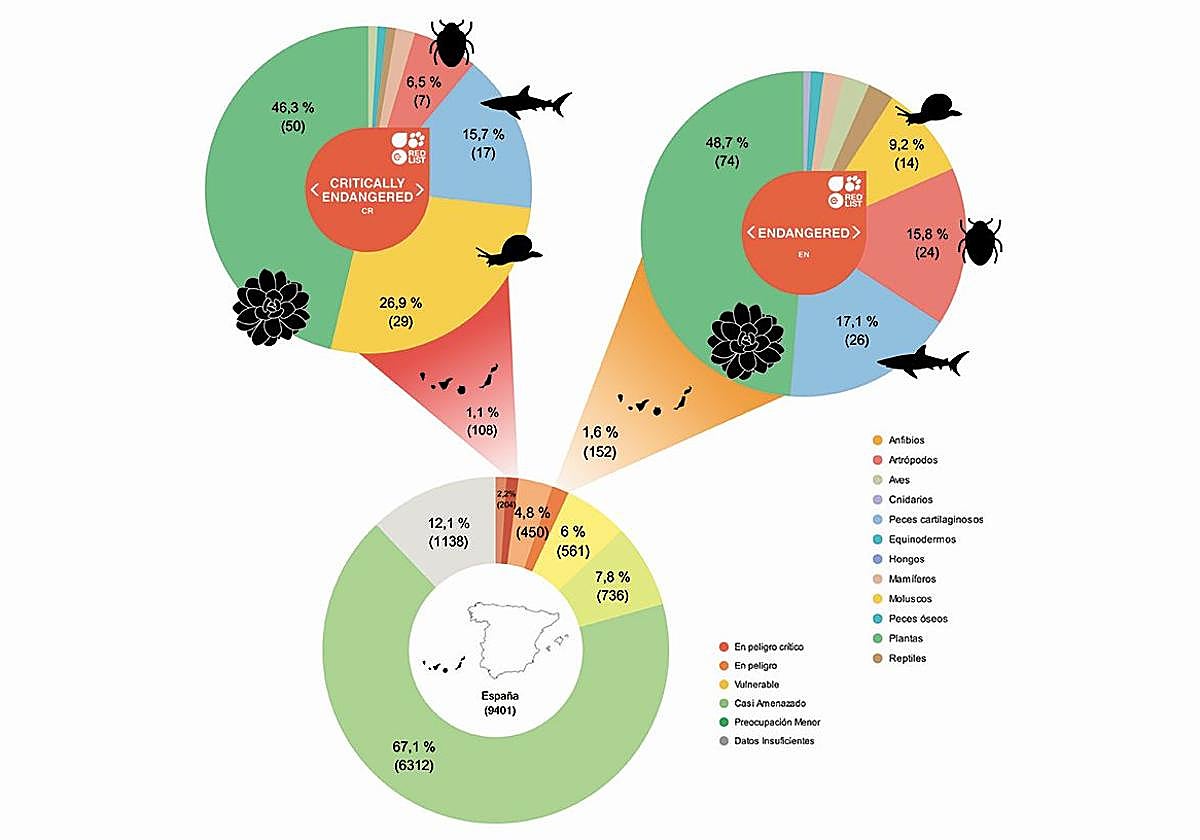 Canarias concentra la mitad de las especies en peligro crítico de extinción de España, según la Lista Roja de la UICN