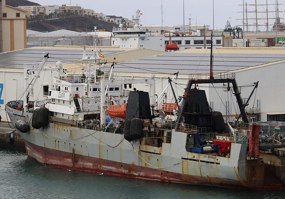 ¿Vuelven los rusos a Las Palmas?